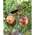 Johnny Apple Fruit Feeder