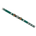 Forest Friends Charm Band