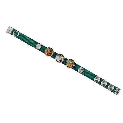 Wild at Heart Charm Band