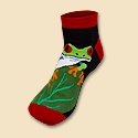 Tree Frog Slippers Socks