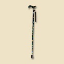 American Songbird Walking Stick