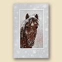 Horse in Winter Card