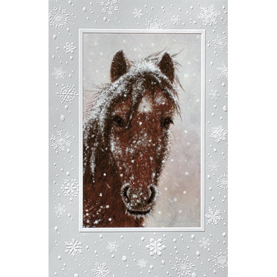 Horse in Winter Card