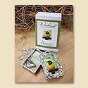 Pretty Bird Dreambox with Pendant