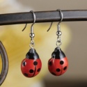 Ladybug Earrings