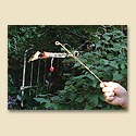 Hummingbird Whimsy Wand