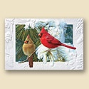 Candid Cardinals Card