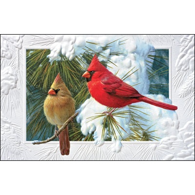 Candid Cardinals Card