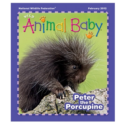 Wild Animal Baby 1 year Subscription