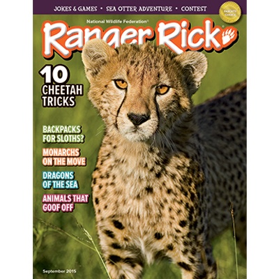 Ranger Rick 1 year Subscription