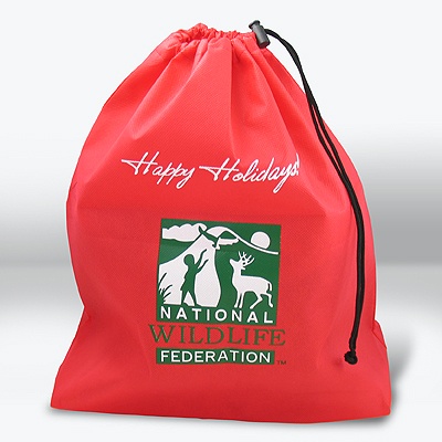 Adoption Gift Bag - Holiday