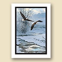 Winter Along the River Card