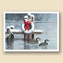 Loons of Winter Card