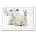 Santa Cubs Card