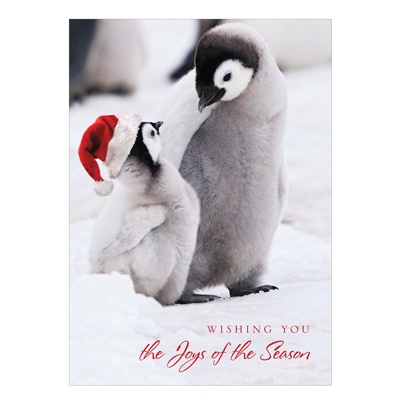 Holiday Pride Card