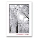 Trees for Wildlife Card - Trees