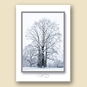 Standing Tall Card