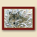 Hiding Wolf Card