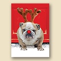 Ecstatic Card