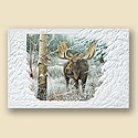 Close Encounter Card