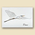 Blue Heron Card