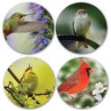 Bright Songbird Coordinating Seals