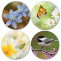 Serene Sympathy Coordinating Seals