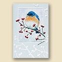 Flurried Card