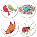 Birds and Bugs Seals