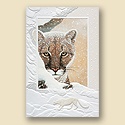 Silent Watch Card