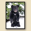 Winter Play Card