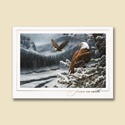 Spirit of the Wild Card