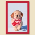 Christmas Puppy Card