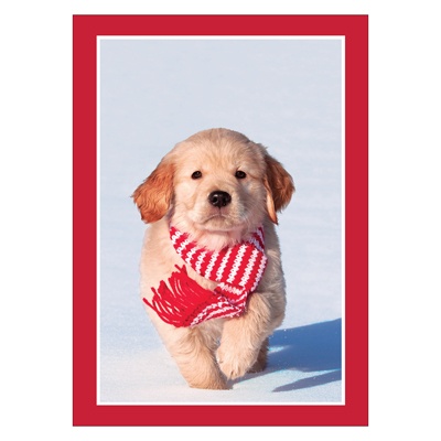 Christmas Puppy Card