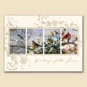 Greetings for All the Seasons Card