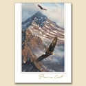 On Freedom's Wing Card