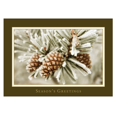 Snowy Pine Card