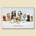 Christmas Canines Card