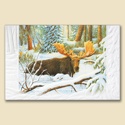 Luxury Accommodations Card