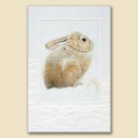 Snow Bunny Card