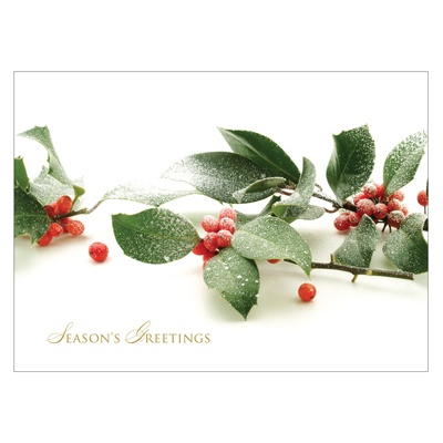 Frosted Berries Card