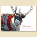 Believe Card