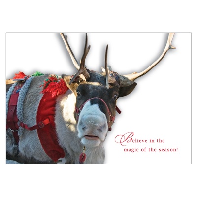 Believe Card