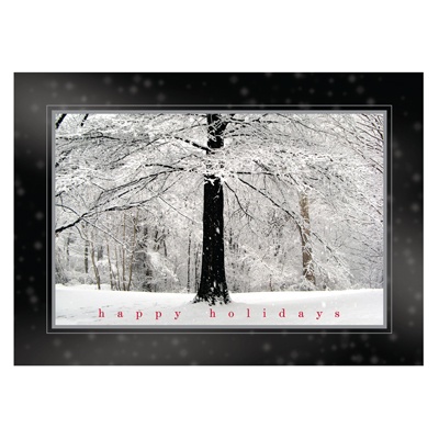 Quiet Snowfall Card