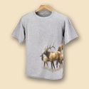 Elk Recycled Tee Gray