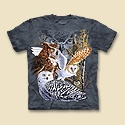 Find 11 Owls Tee