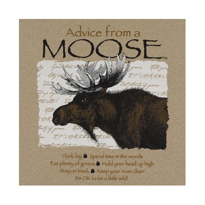 Advice from a Moose Shirt