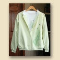 Dragonflies & Ferns Apparel Set