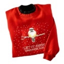 Snow Somewhere Else Pullover
