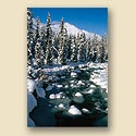 ReProduct Snowy River Card